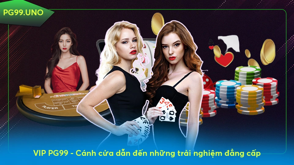 VIP Kclub - Cánh cửa dẫn đến những trải nghiệm đẳng cấp
